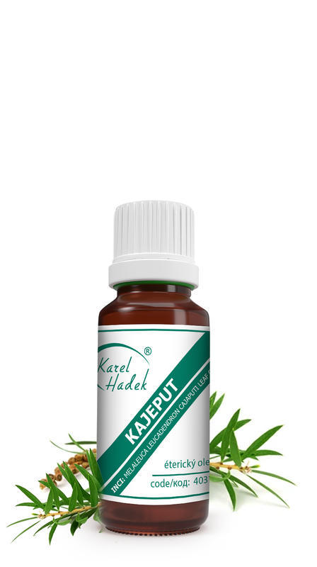 KH - Éterický olej KAJEPUT 10 ml