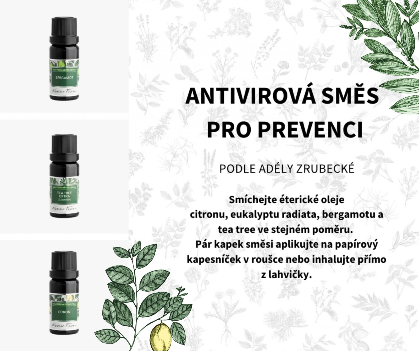 Nobilis Éterický olej Tea tree extra (čajovník) 2 ml tester sklo