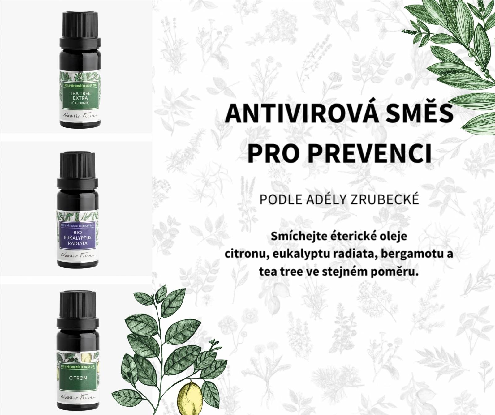 Nobilis Éterický olej Bio Eukalyptus radiata 5 ml