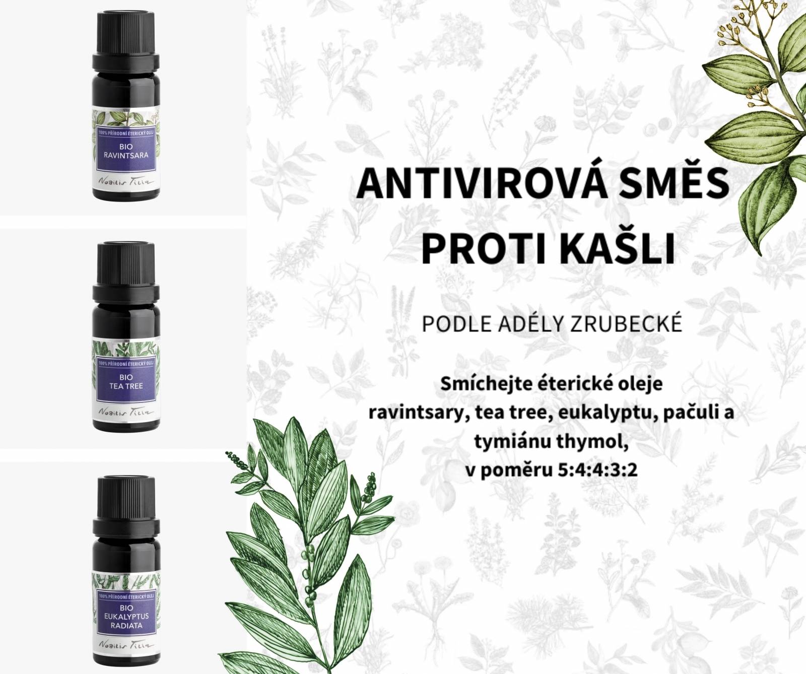 Nobilis Éterický olej Bio Eukalyptus radiata 5 ml
